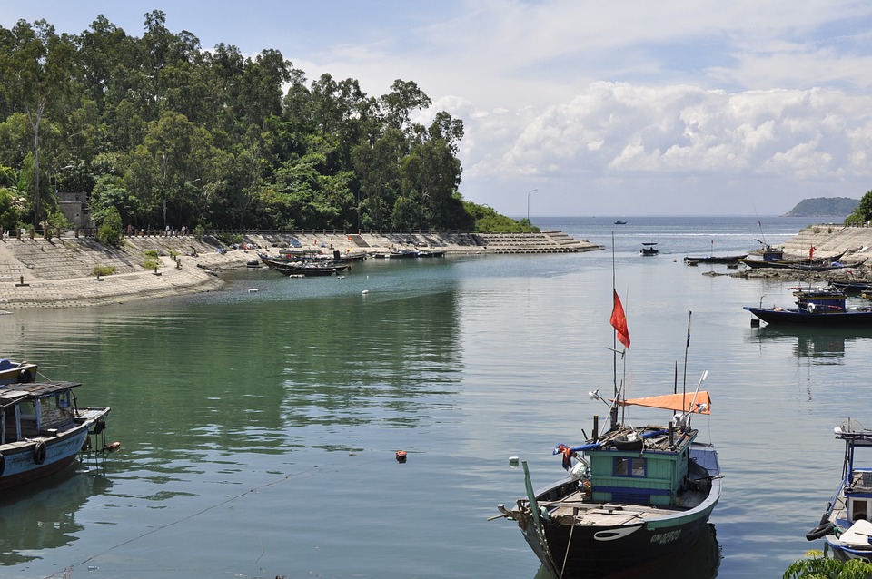 Avoiding Frequent Pitfalls in Case Regulation Search: Professional Insights and Recommendation